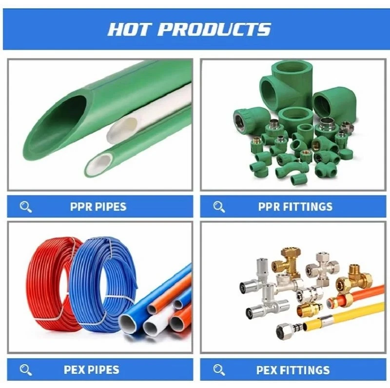 product-800-796 product-800-796